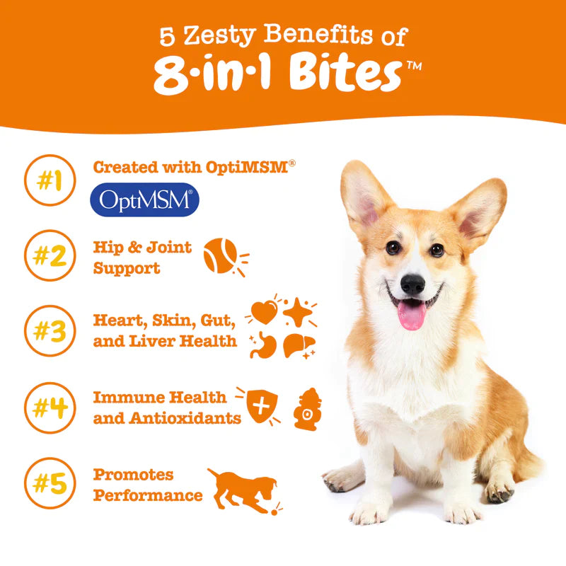8-in-1 Multifunctional Bites for Dogs, Peanut Butter Flavor